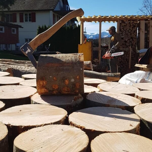 Wädi ist am Holzen, um Brennholz herzustellen, welches Huser Handwerk im Seetal kostenlos ausliefert.